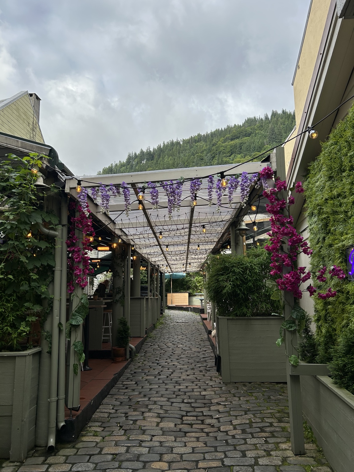 Nightlife in Bergen