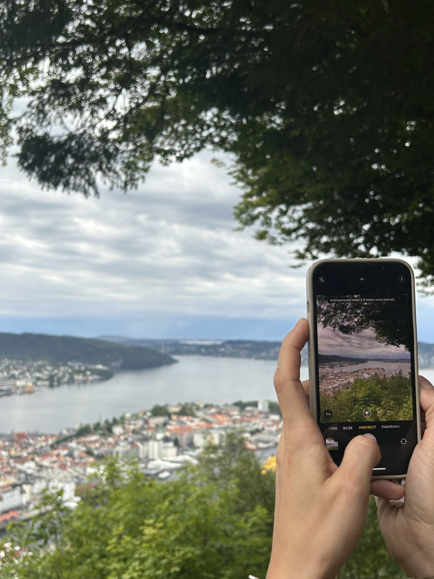 Fløyen in Bergen