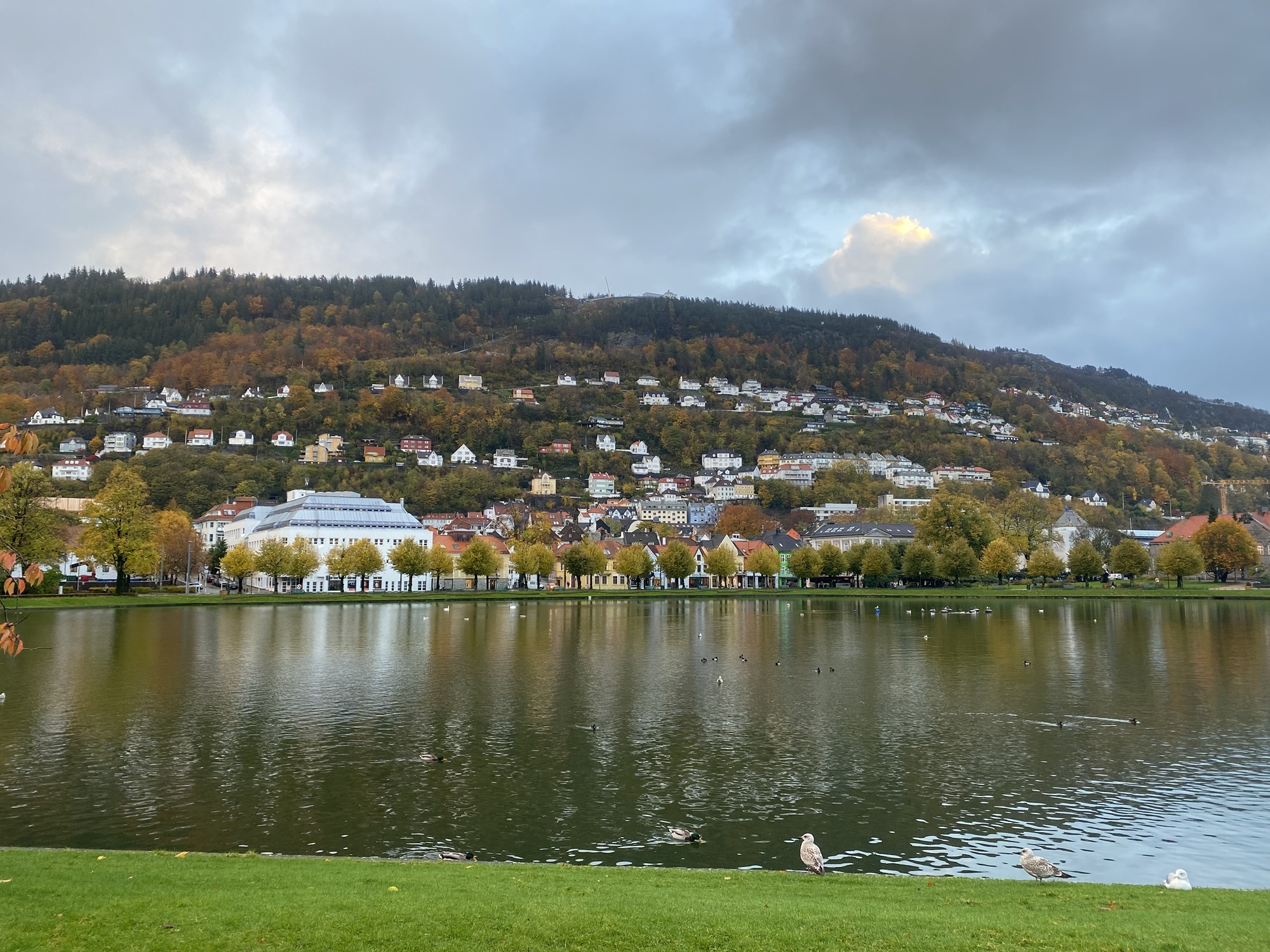 Festplassen in Bergen