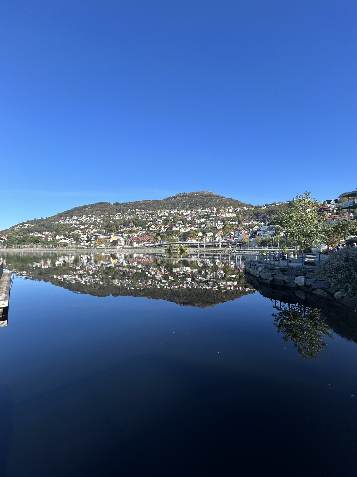 Bergen waterfront reflections