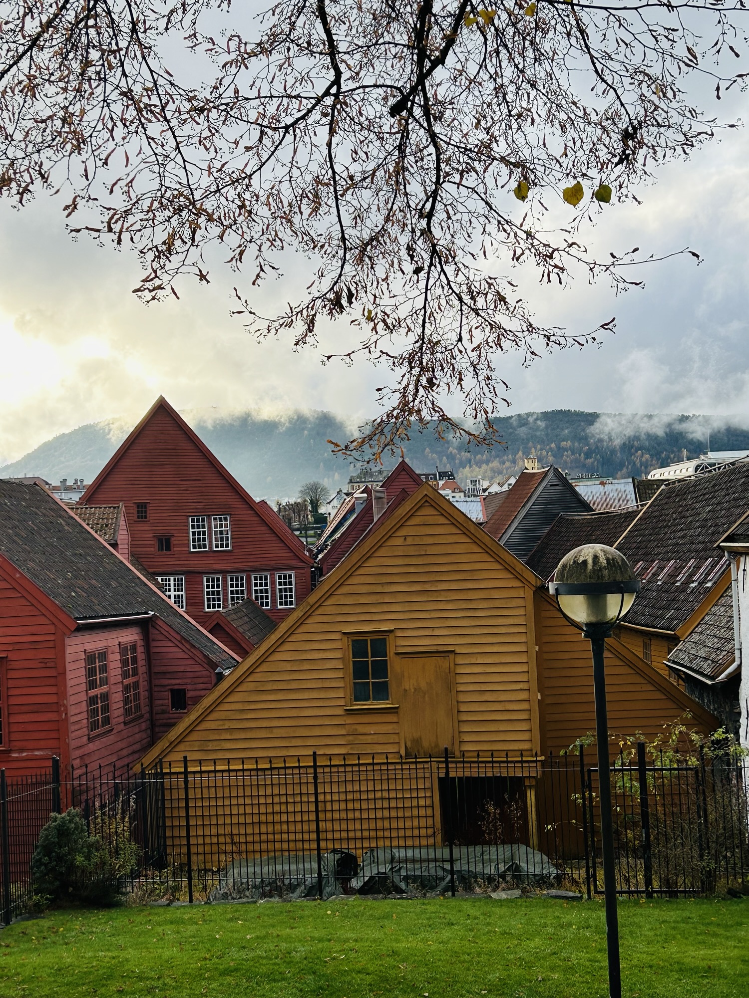 Bergen photographed by Anahita