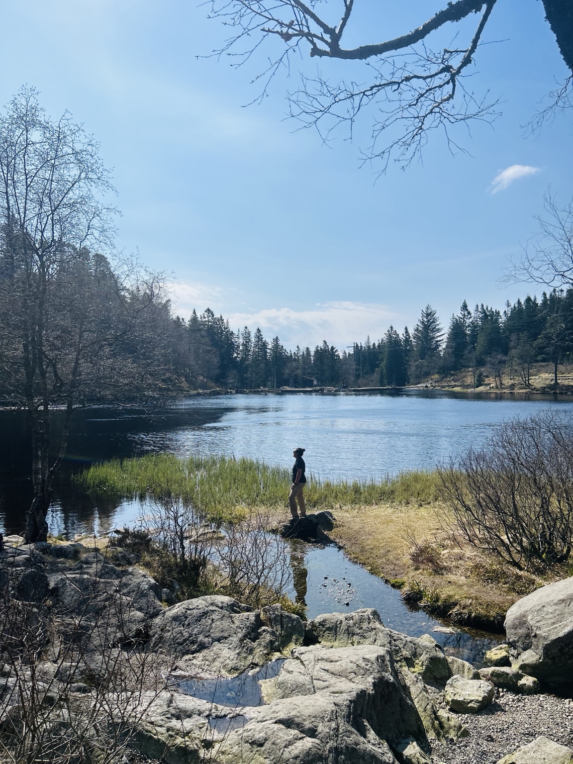 Skomakerdiket lake near Fløyen